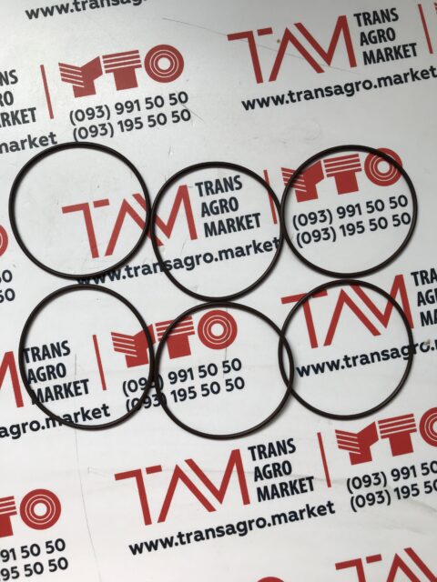 Ущільнювальне кільце масляного насоса двигуна